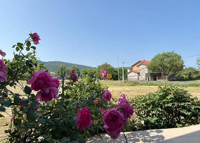 Appartamento Suzi Lokev